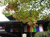 今熊野観音寺