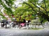 今熊野観音寺