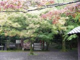 今熊野観音寺