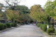 円山公園