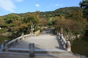 円山公園