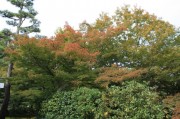 東福寺