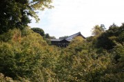 東福寺通天橋周辺