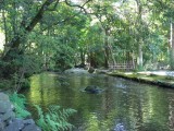 上賀茂神社