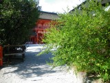 下鴨神社の萩