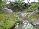 天龍寺宝厳院秋の公開