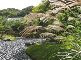 天龍寺宝厳院秋の公開