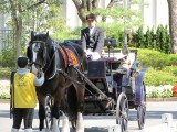 京都競馬場