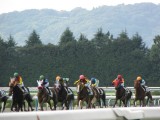 京都競馬場