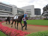 京都競馬場