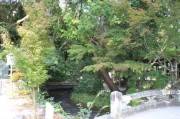 上賀茂神社