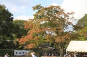 上賀茂神社