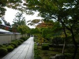 大徳寺・芳春院