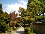 大徳寺・芳春院