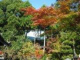 赤山禅院