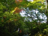 赤山禅院