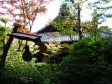 大徳寺・高桐院