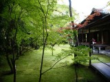 大徳寺・高桐院