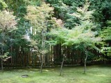 大徳寺・高桐院