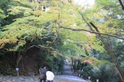 高雄・神護寺