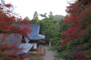 高雄・神護寺