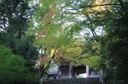 高雄・神護寺