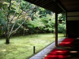 大徳寺・高桐院