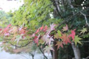 高雄・神護寺