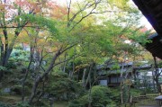 嵯峨野・常寂光寺