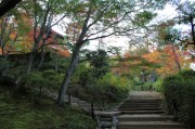 嵯峨野・常寂光寺