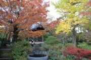 嵯峨野・常寂光寺