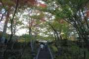 嵯峨野・常寂光寺