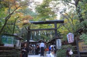 嵯峨野・野宮神社