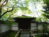 大徳寺・高桐院