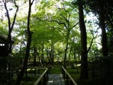 大徳寺・高桐院