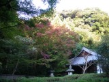 泉涌寺来迎院