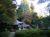 泉涌寺来迎院