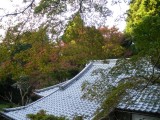 泉涌寺来迎院