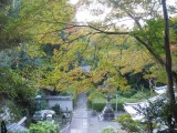 泉涌寺来迎院