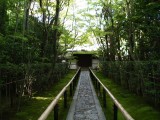 大徳寺・高桐院