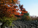 化野念仏寺