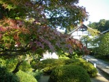 泉涌寺雲龍院