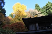 雲ヶ畑・志明院