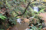 雲ヶ畑・志明院