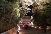 泉湧寺夜間拝観