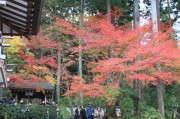 三千院