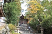 宇治神社