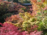 東福寺