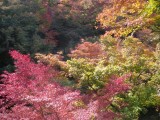 東福寺