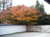 東福寺龍吟庵